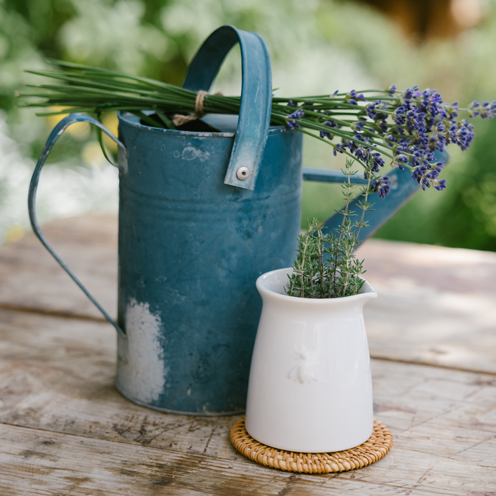 Bee Ceramic Creamer Set-1