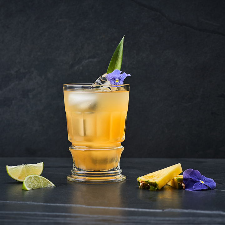 Perigord Club Cocktail Glass Set-4